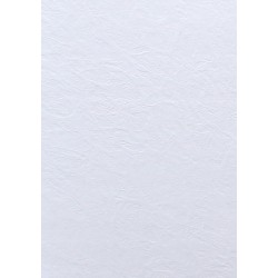 Papier Elfenbens skóra biała wizytówkowy 246g400A4