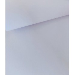Papier Elfenbens biały gładki 246g Glazed White 100A4